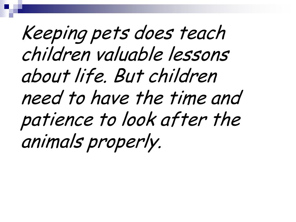 Keeping pets does teach children valuable lessons about life