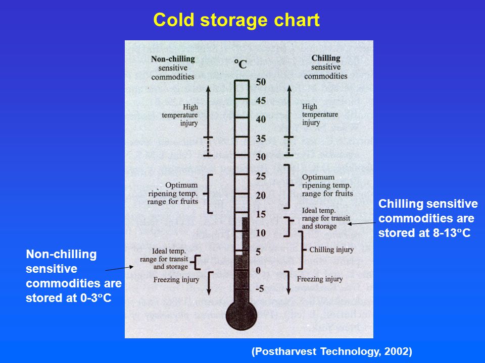 Cold storage chart Chilling sensitive commodities are stored at 8-13C