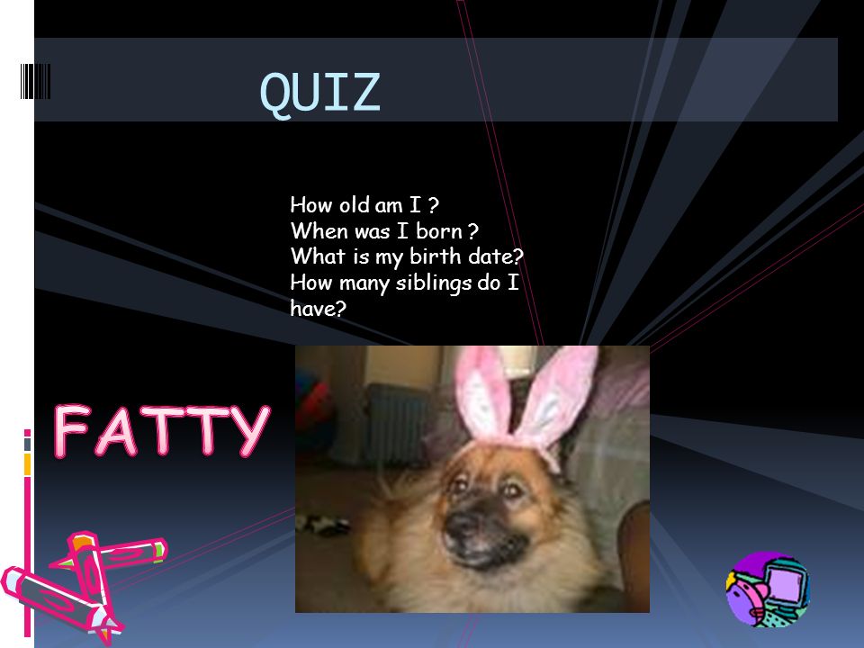 FATTY QUIZ How old am I When was I born What is my birth date