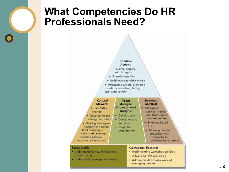 What Competencies Do HR Professionals Need