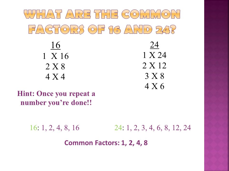 What are the common factors of 16 and 24