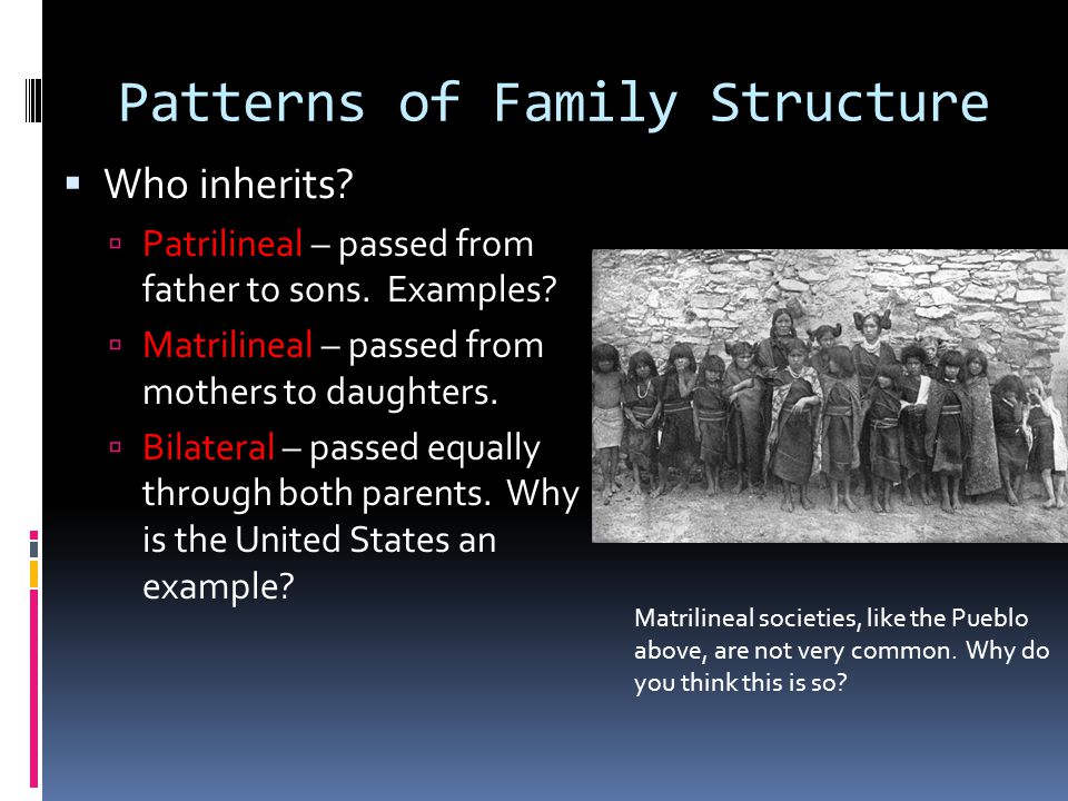 Patterns of Family Structure