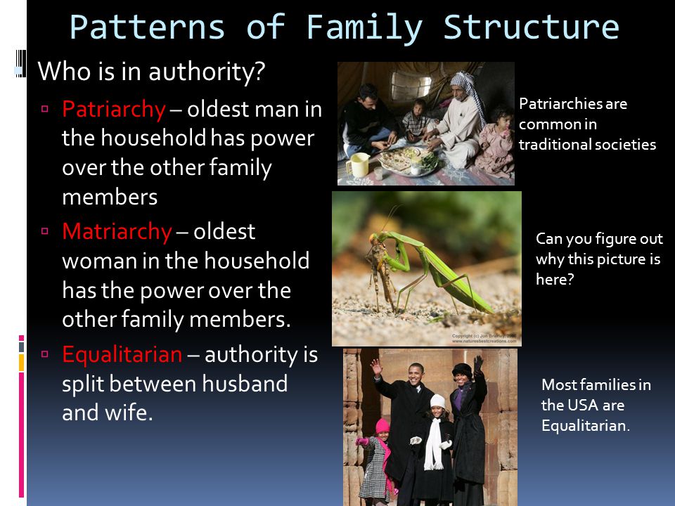 Patterns of Family Structure