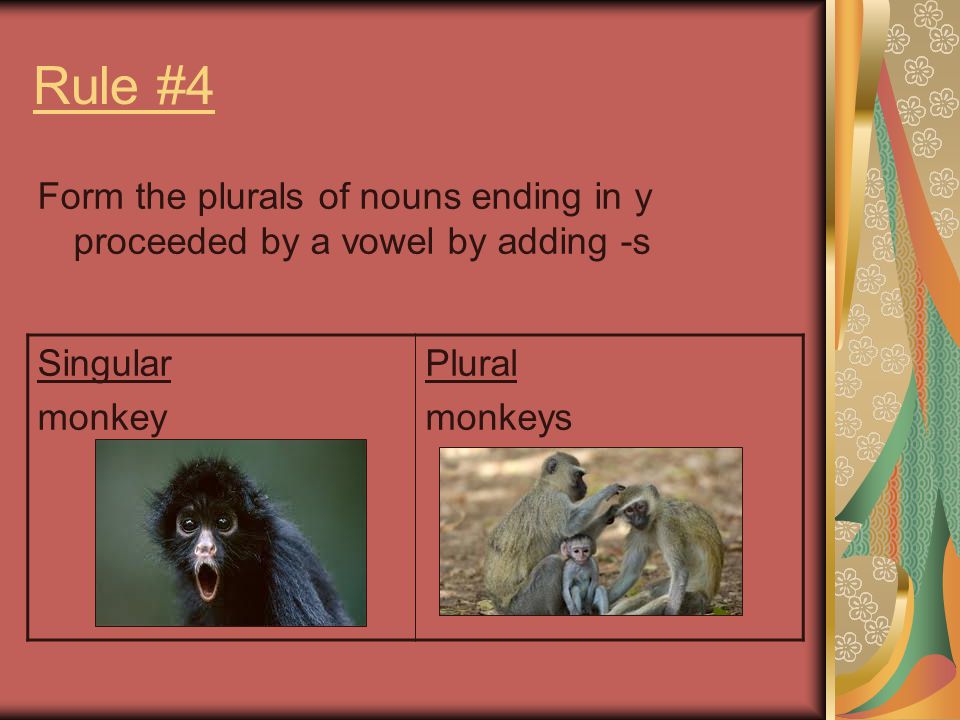 Rule #4 Form the plurals of nouns ending in y proceeded by a vowel by adding -s. Singular. monkey.