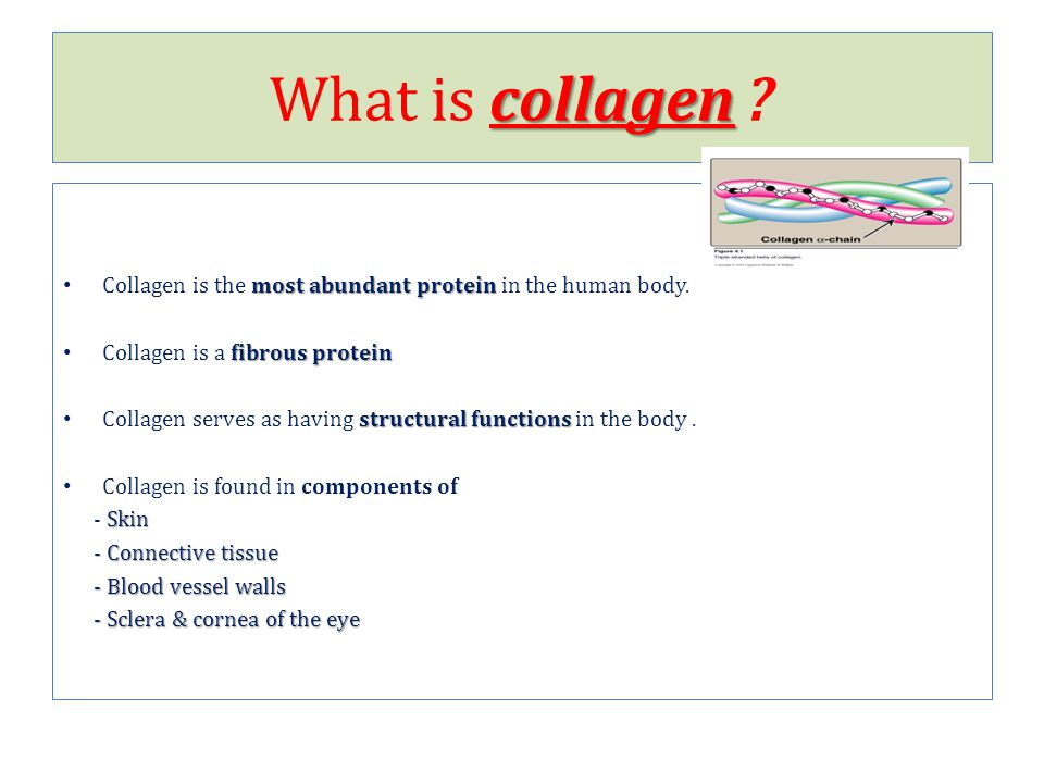 Collagen. - ppt video online download