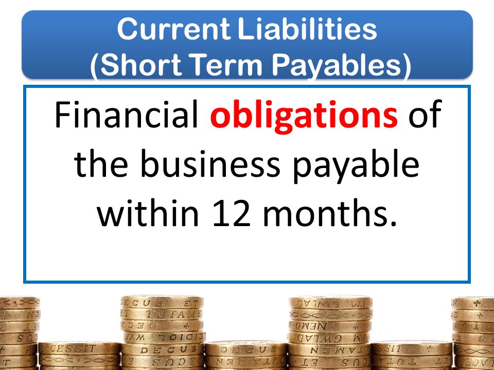 Current Liabilities (Short Term Payables)