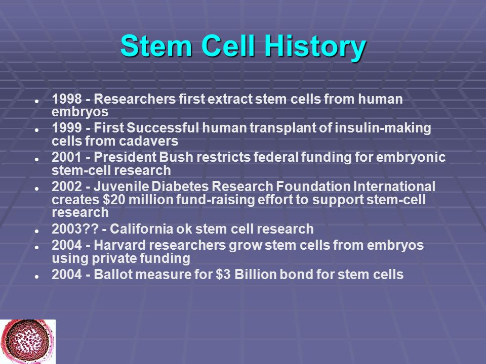 Stem Cells Clinical Applications Ppt Download