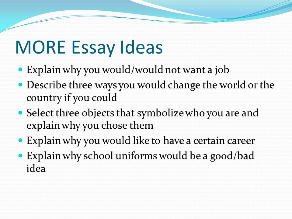 MORE Essay Ideas Explain why you would/would not want a job