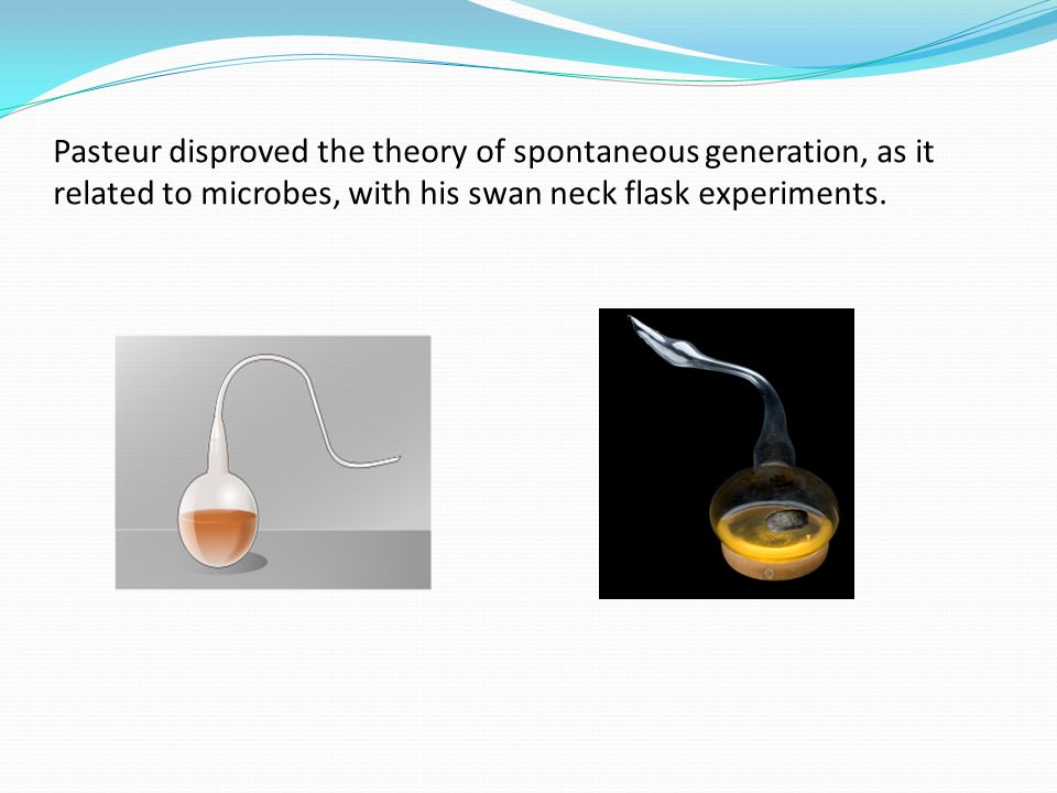 who disproved spontaneous generation