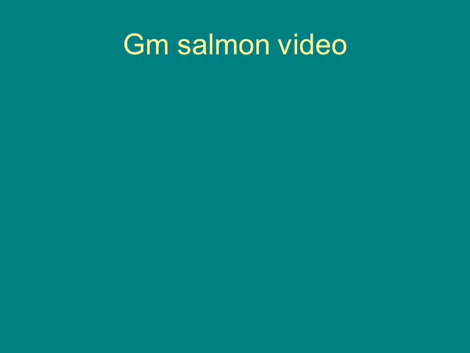 Gm salmon video