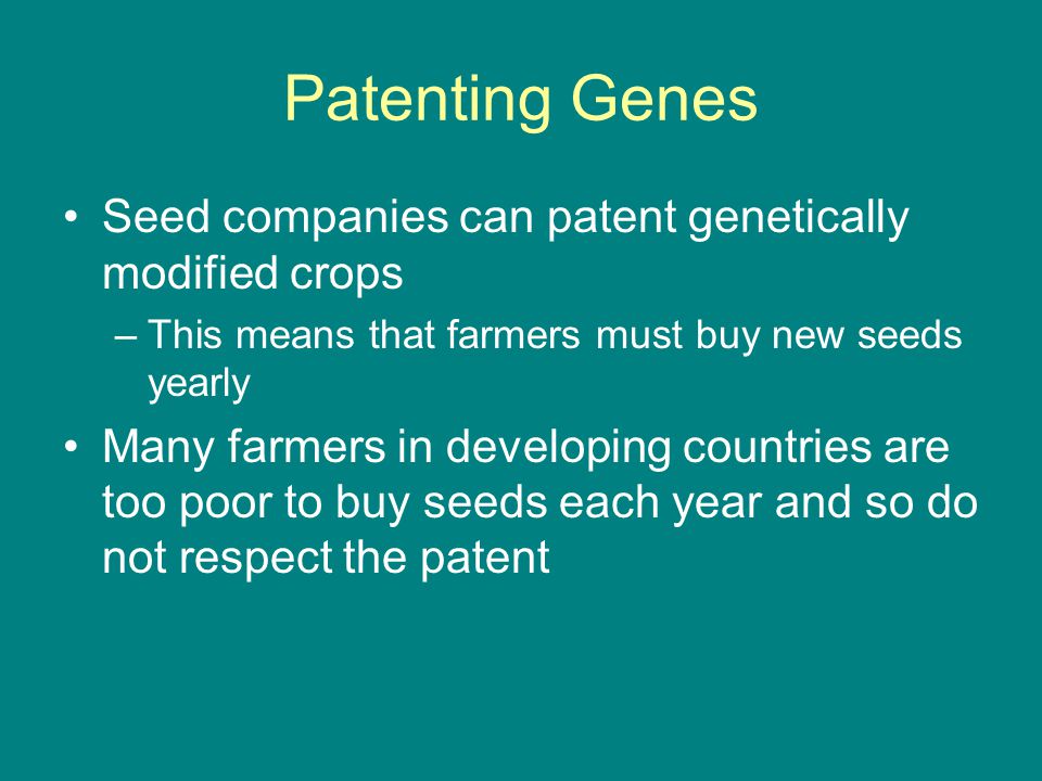 Patenting Genes Seed companies can patent genetically modified crops