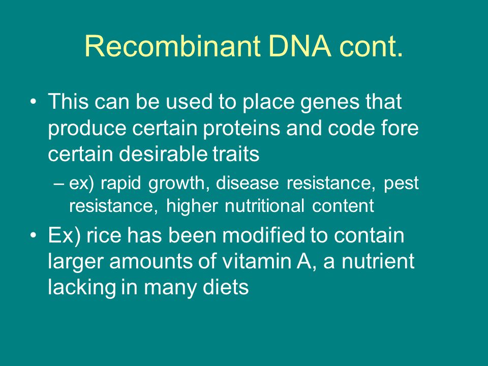 Recombinant DNA cont. This can be used to place genes that produce certain proteins and code fore certain desirable traits.