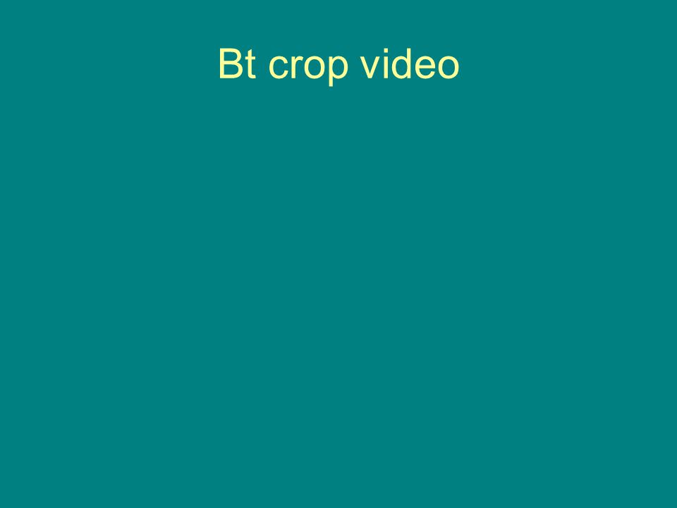 Bt crop video