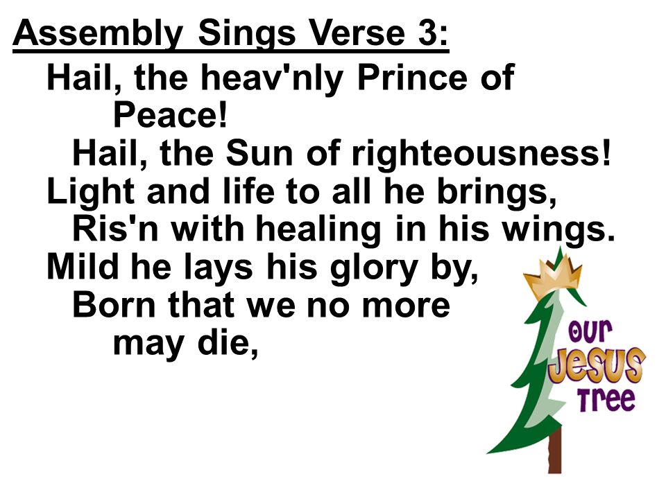 Assembly Sings Verse 3: Hail, the heav nly Prince of Peace! Hail, the Sun of righteousness!