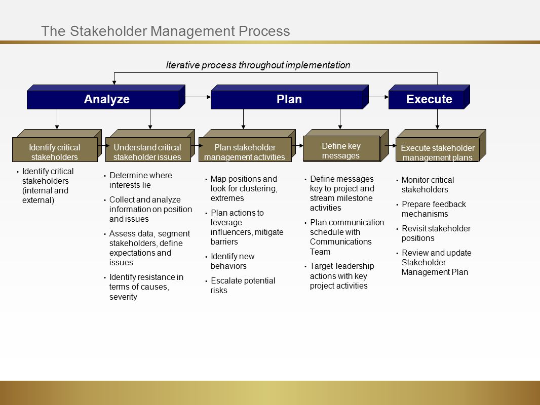 The Stakeholder Management Process