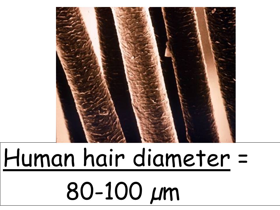 Micrometers Microns µm = um 1mm = 1000µm What unit is used to measure - ppt  download
