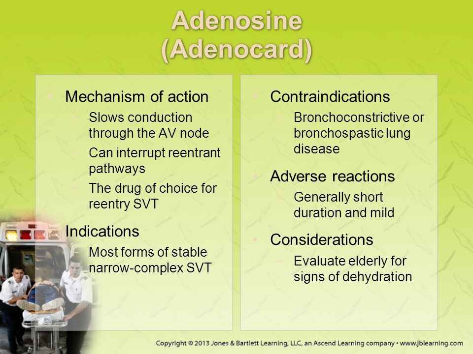 Adenosine (Adenocard)