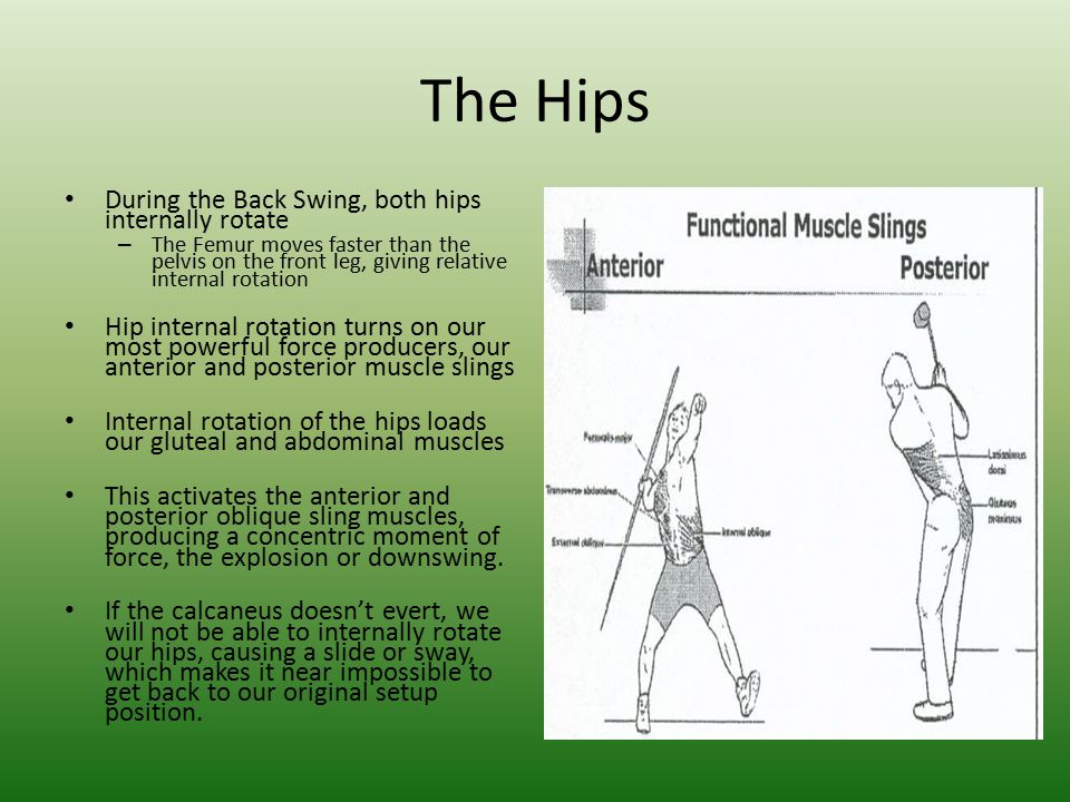 The Hips During the Back Swing, both hips internally rotate
