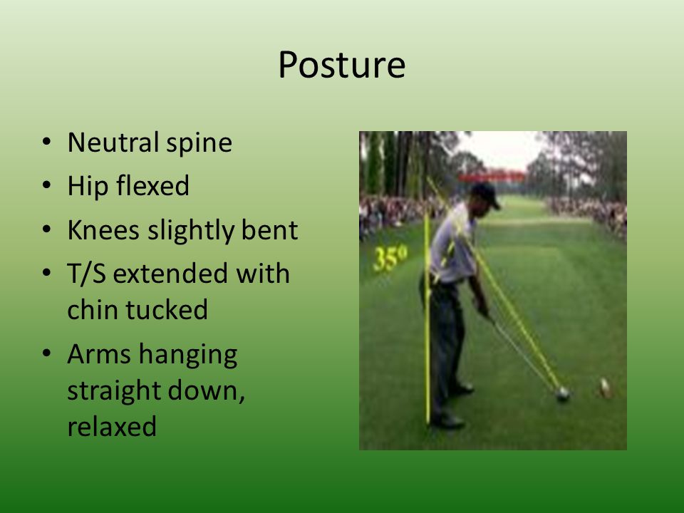 Posture Neutral spine Hip flexed Knees slightly bent