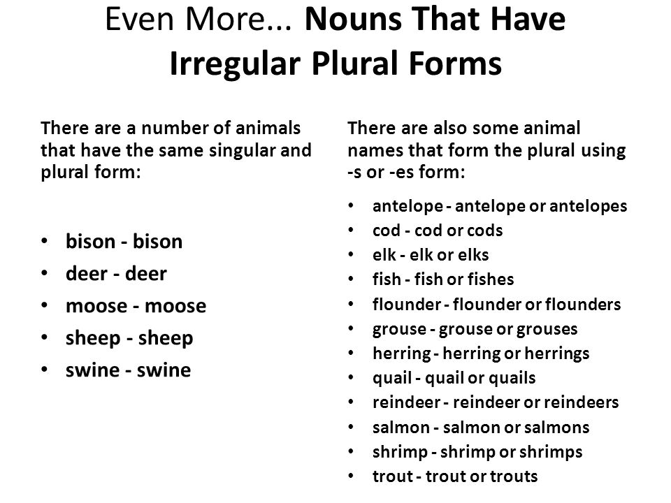Even More... Nouns That Have Irregular Plural Forms