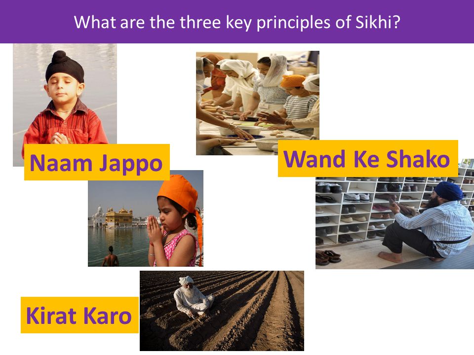 What are the three key principles of Sikhi