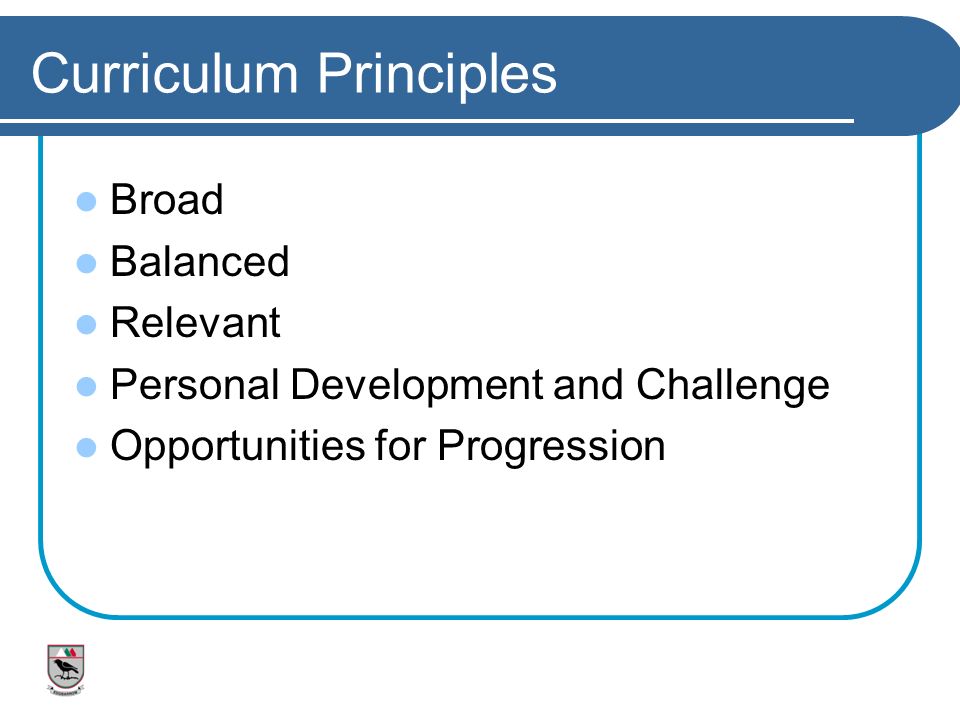 Curriculum Principles