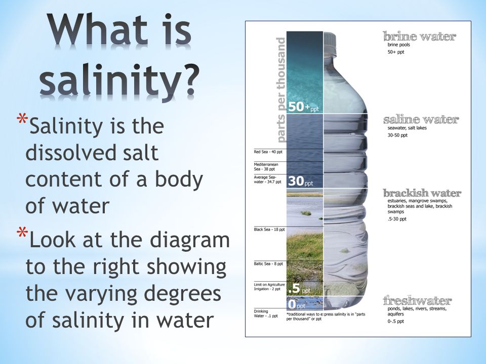 Water Salinity Chart