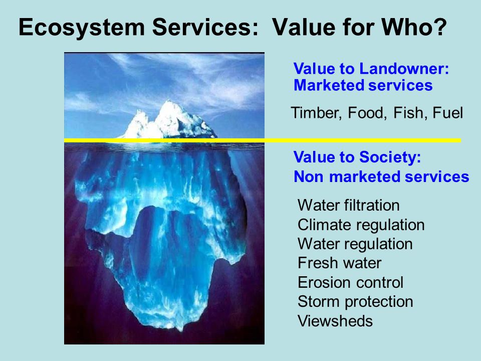 Ecosystem Services: Value for Who
