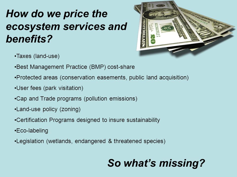 How do we price the ecosystem services and benefits