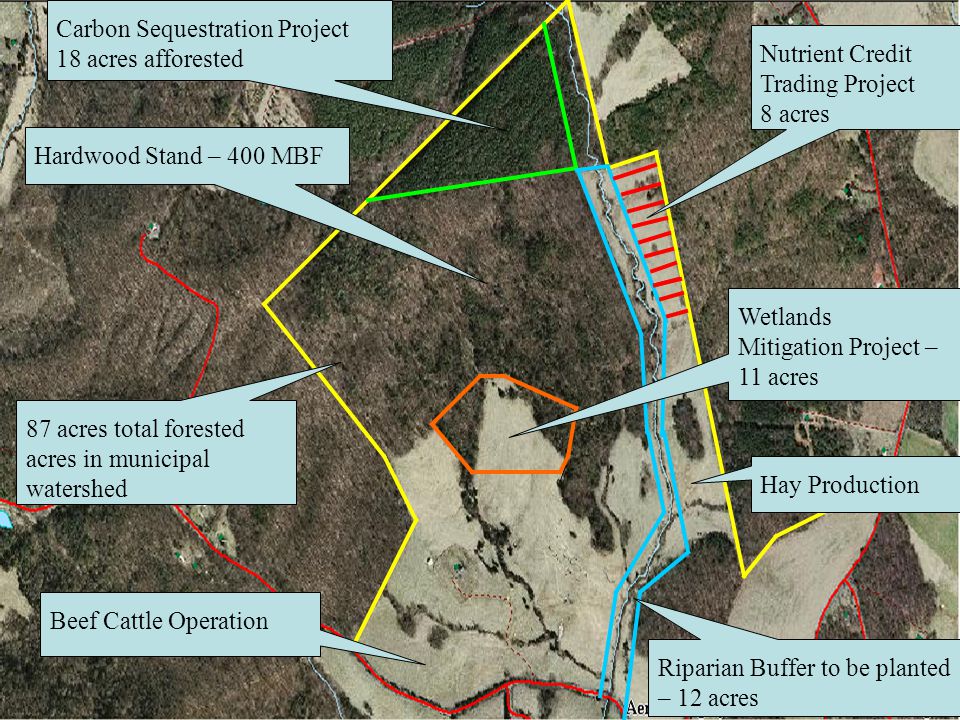 Virginia Landowner Carbon Sequestration Project 18 acres afforested