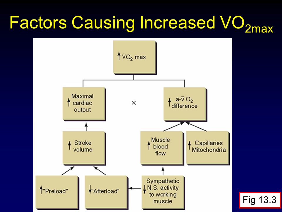 Chapter 13 The Physiology Of Training Effect On Vo2 Max