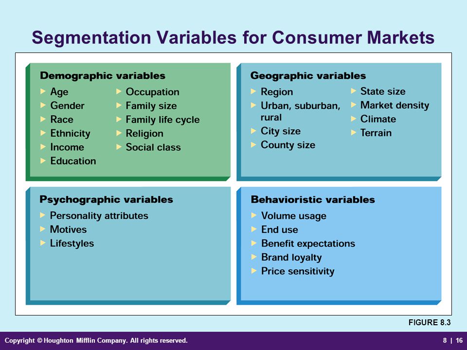 Segmentation Variables for Consumer Markets.
