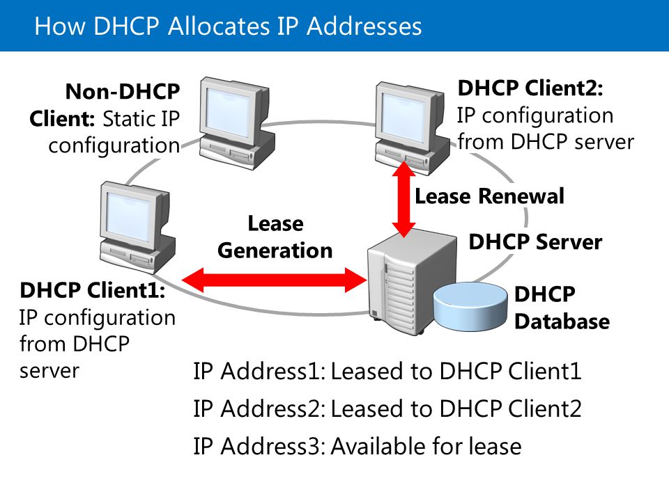 Схема работы dhcp