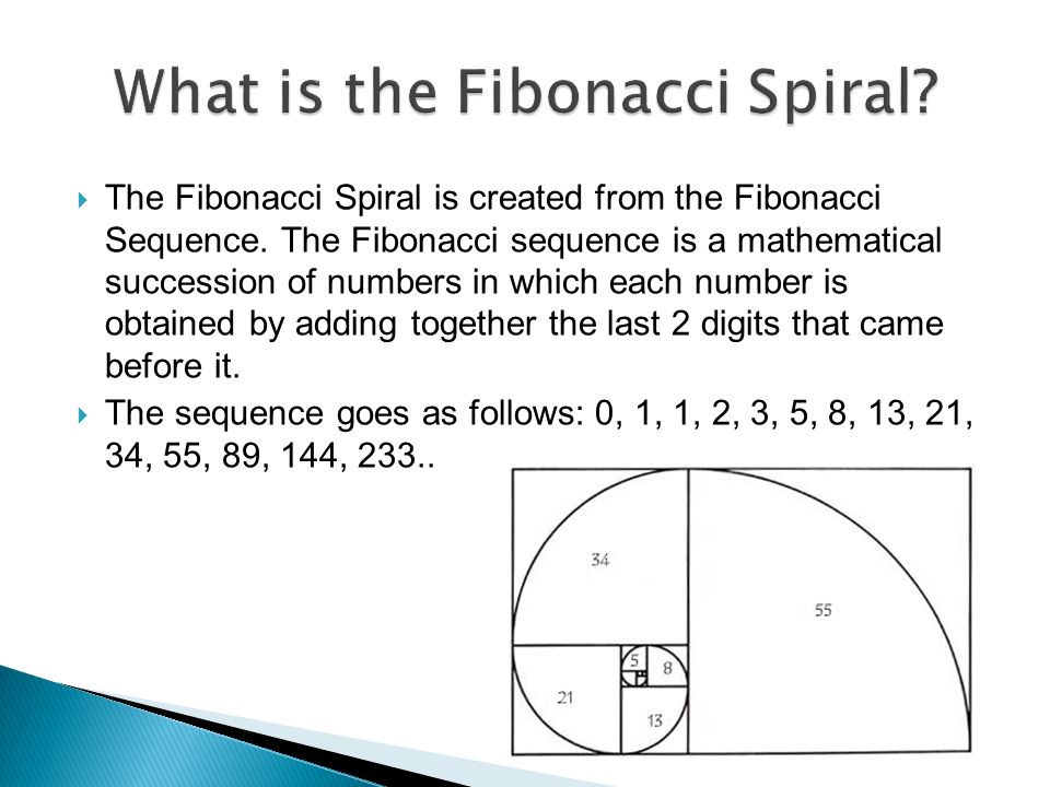 Fibonacci Spiral Richard Kwong MAT ppt video online download