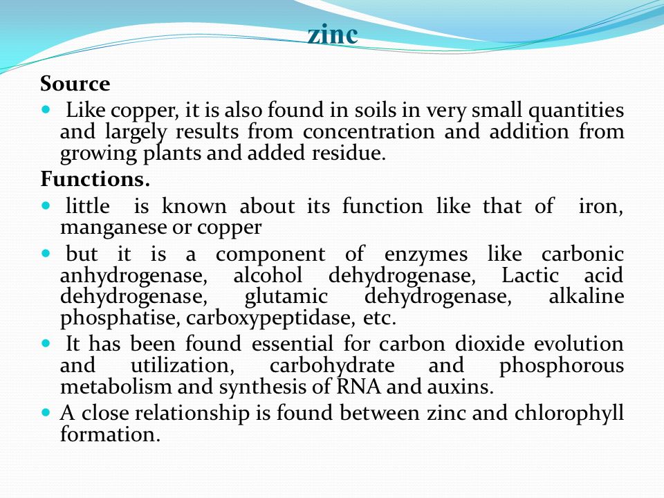 zinc Source.