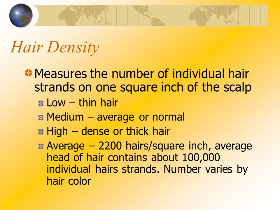 Do I Have Thick Hair How to Find Your Hair Type and Density
