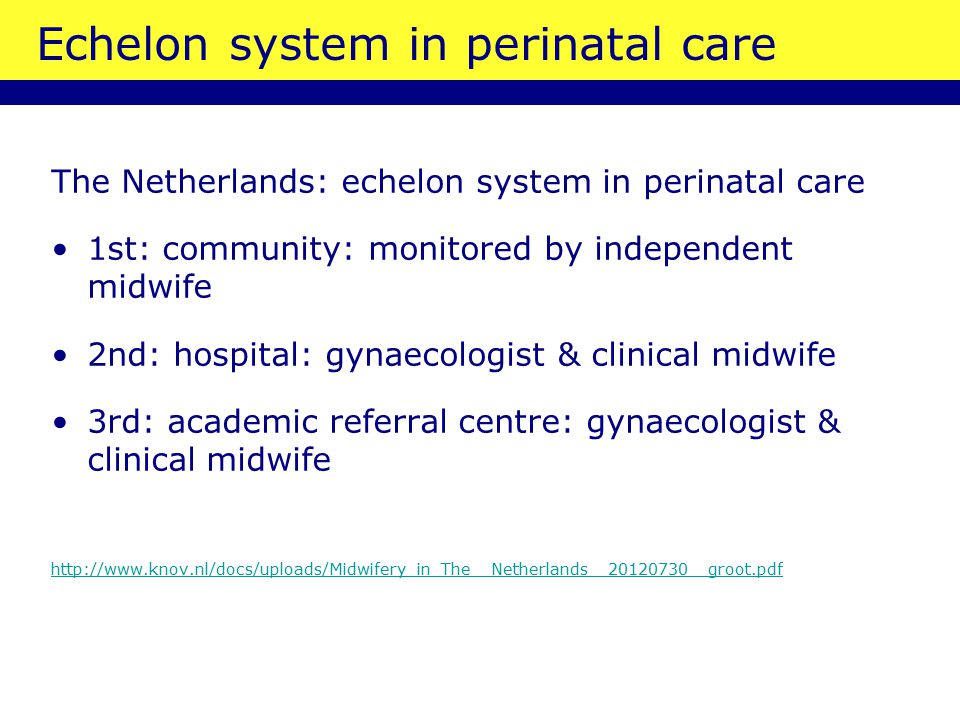 Echelon system in perinatal care