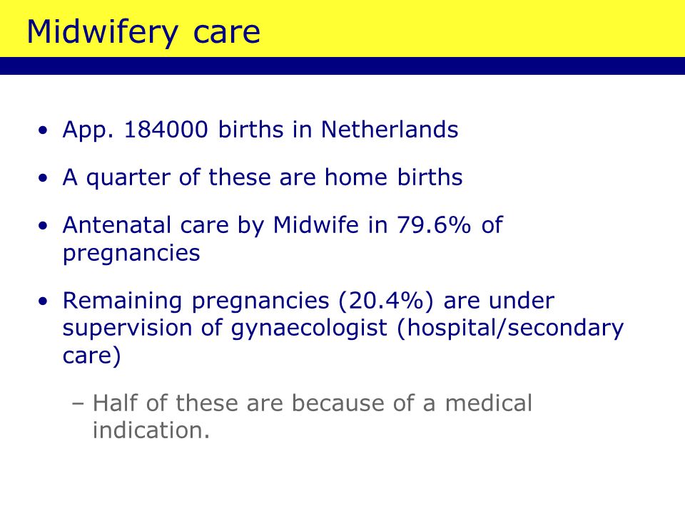 Midwifery care App births in Netherlands