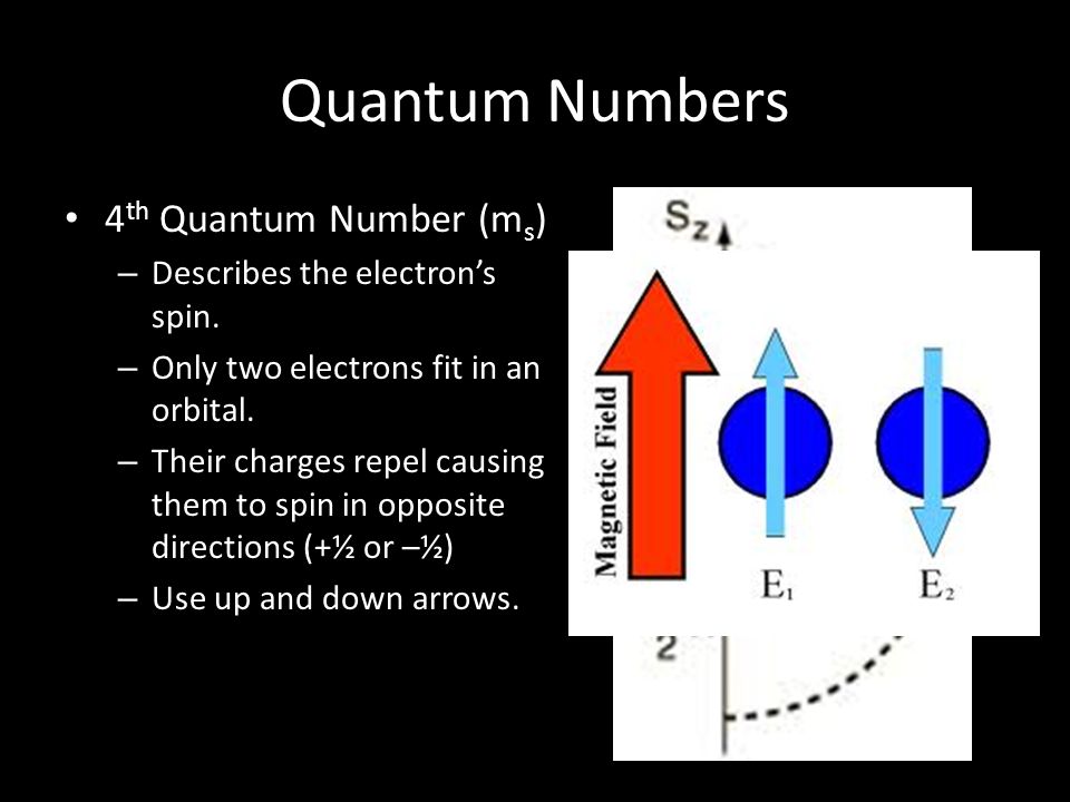 Quantum Numbers 4th Quantum Number (ms) Describes the electron’s spin.