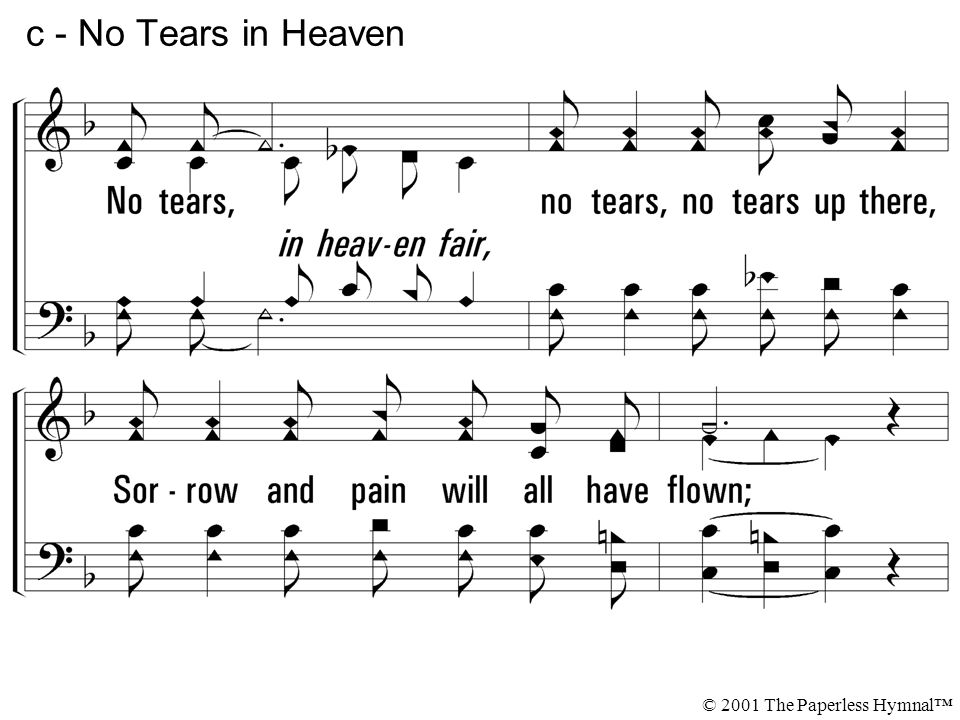 PPT - No Tears in Heaven PowerPoint Presentation, free download - ID:2143459
