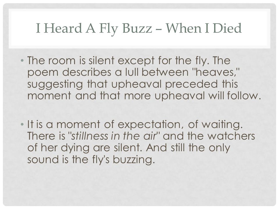 analysis of i heard a fly buzz by emily dickinson