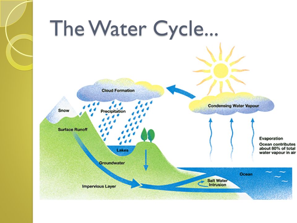 The Water Cycle...