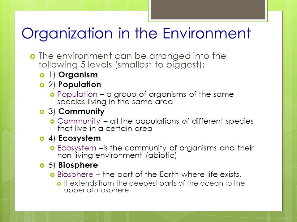 Organization in the Environment