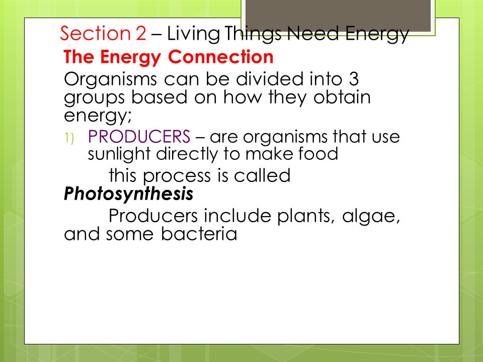 Section 2 – Living Things Need Energy