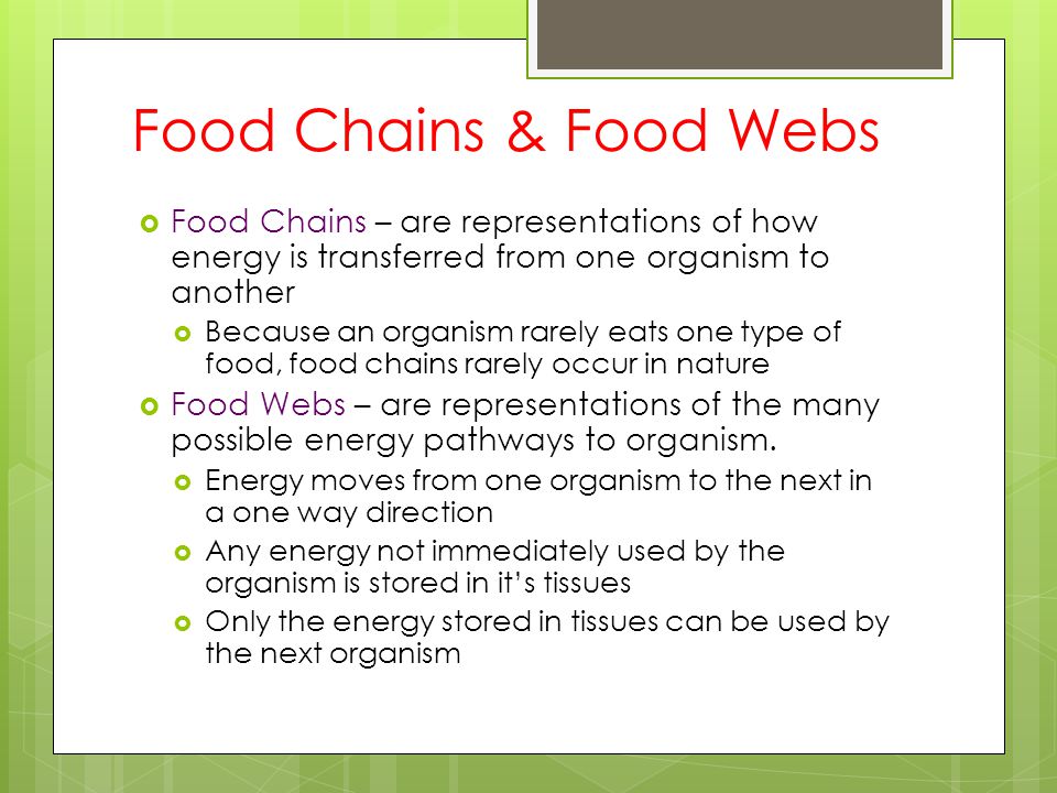 Food Chains & Food Webs Food Chains – are representations of how energy is transferred from one organism to another.