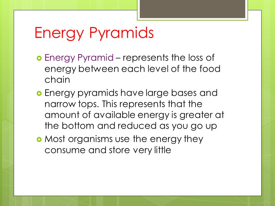 Energy Pyramids Energy Pyramid – represents the loss of energy between each level of the food chain.