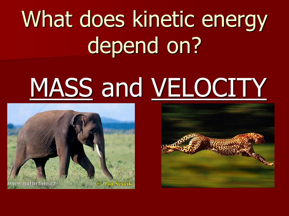 What does kinetic energy depend on