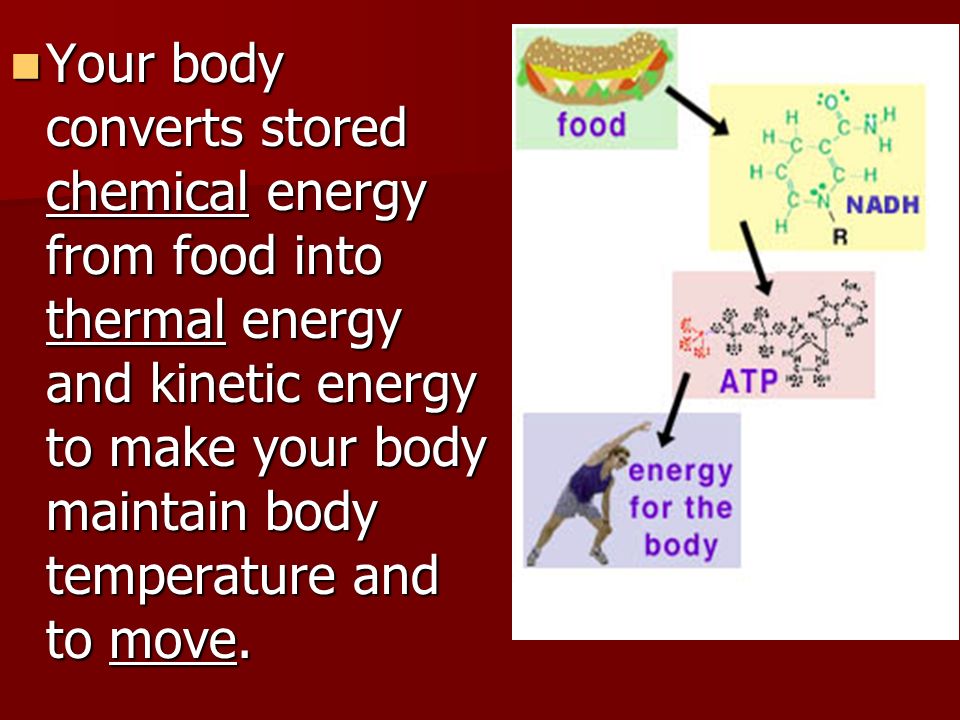 Your body converts stored chemical energy from food into thermal energy and kinetic energy to make your body maintain body temperature and to move.