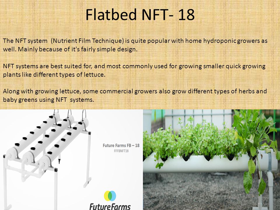 Nft как работает. Популярные NFT. NFT проекты. Покупкк NFT. NFT изображения.