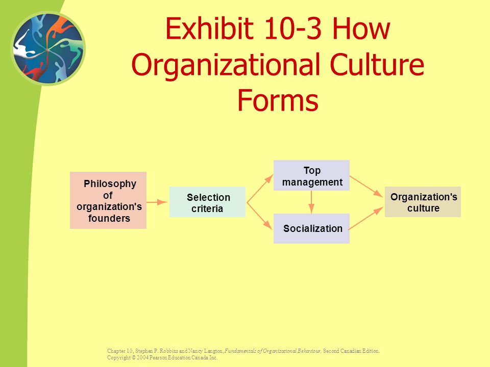 Exhibit 10-3 How Organizational Culture Forms